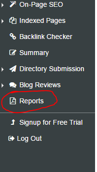 seo report menu